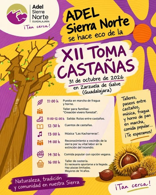 cartel_imagen XII toma castañas